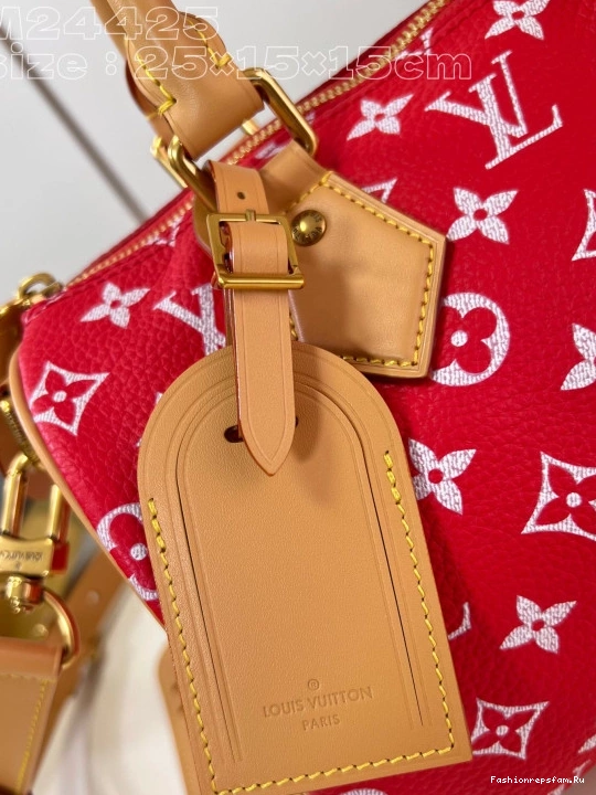 FS CHEAP 25 SPEEDY Louis Vuitton 0724